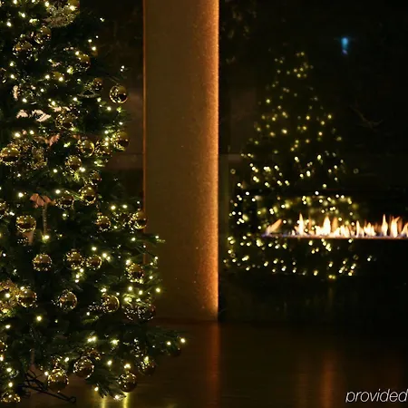 Favor Ντίσελντορφ